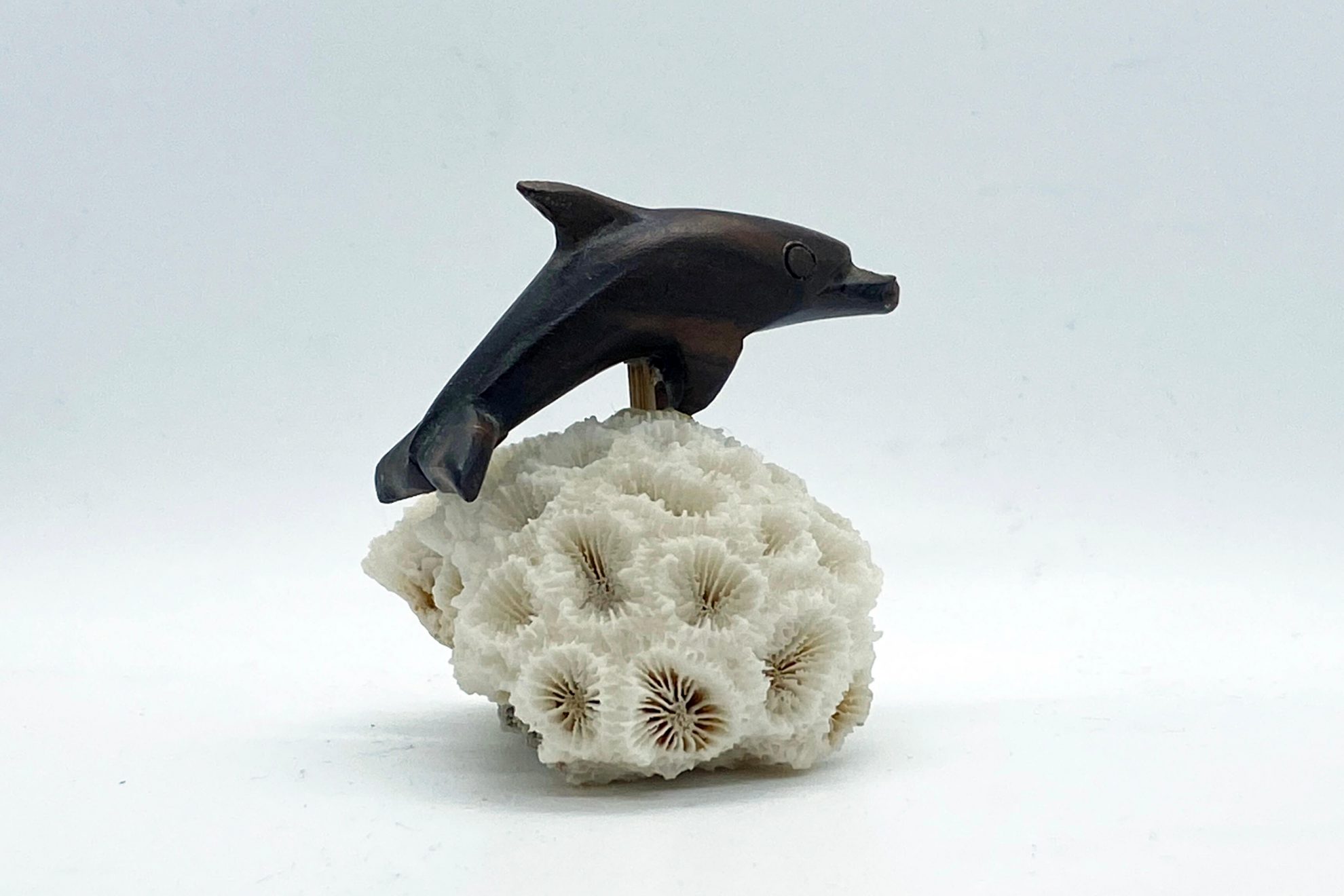 Dolfijn (hout) op koraal